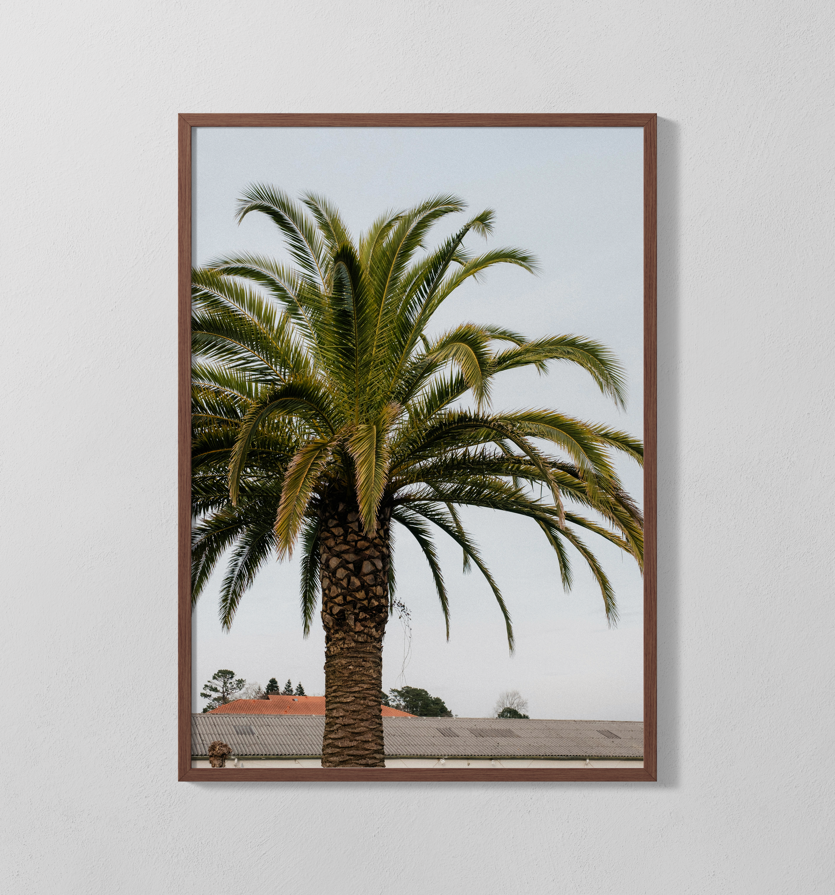 Palme | Poster